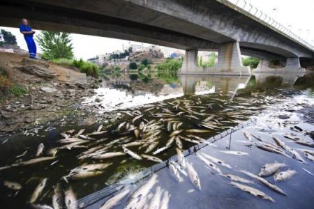 La contaminación y la sequía ahogan el Tajo